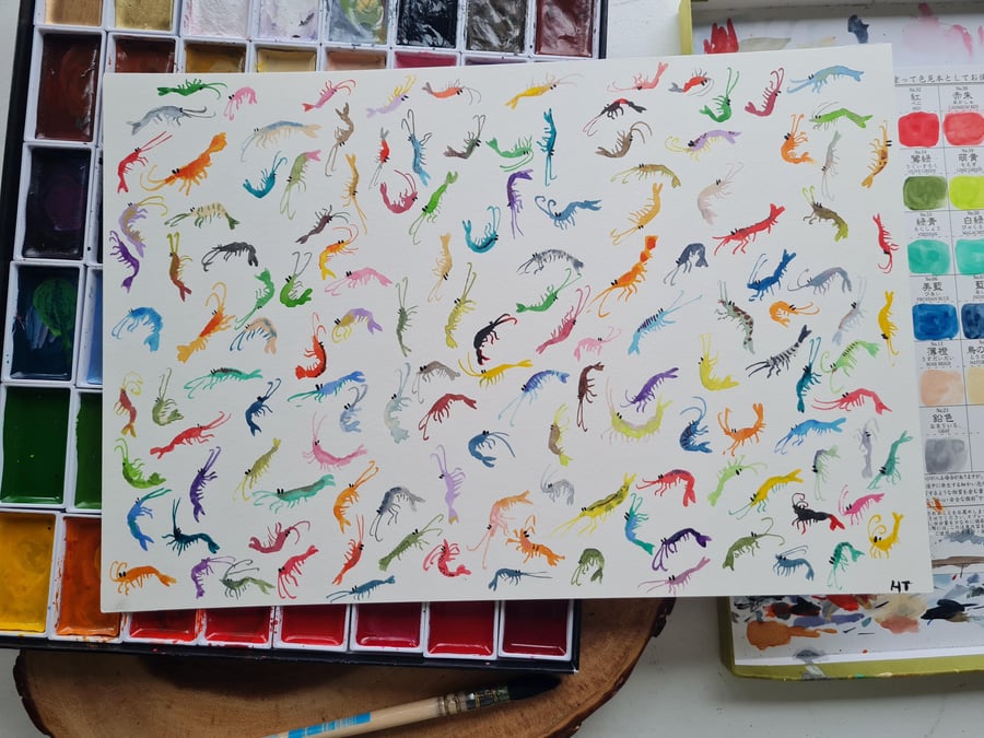 Original hand painted watercolour silly tiny shrimp art
