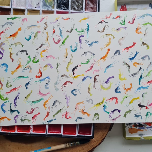 Original hand painted watercolour silly tiny shrimp art