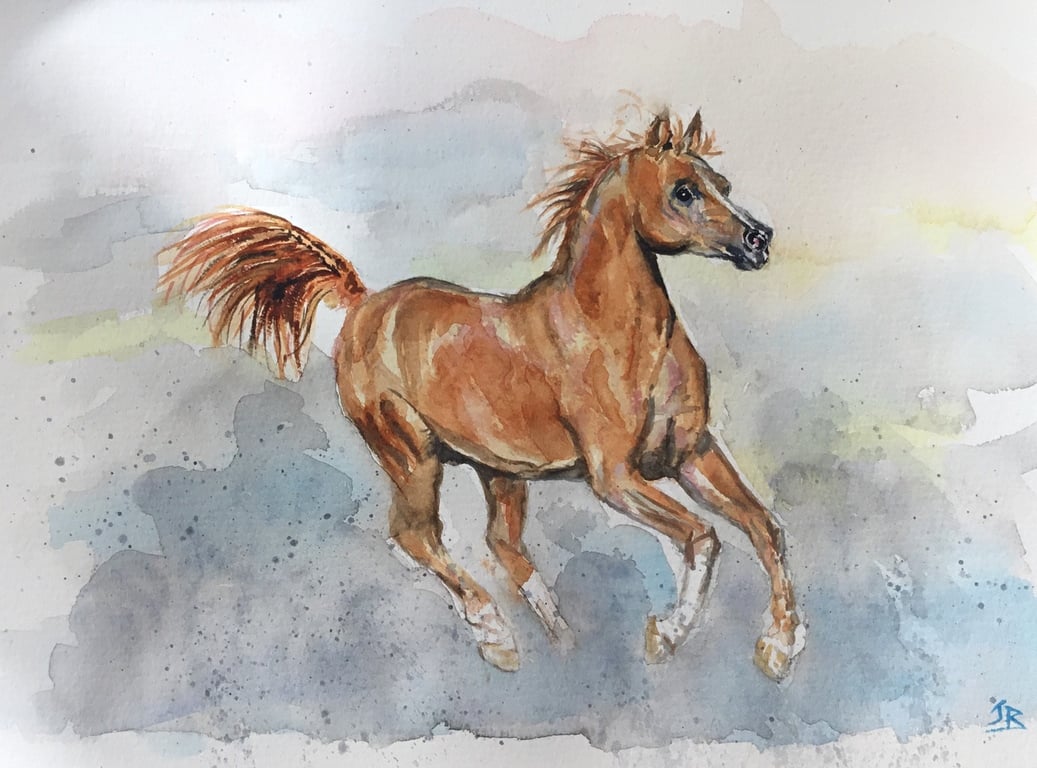 Giclee print of beautiful Arabian horse by artist Janet Bird