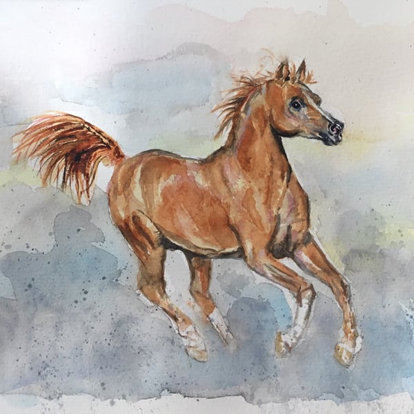 Giclee print of beautiful Arabian horse by artist Janet Bird