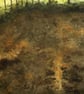 Sunset Over Fields - Print - Image 6