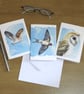 Bird greetings cards, 3 pack, A6 size blank notelets, barn owls and swallow - Image 3