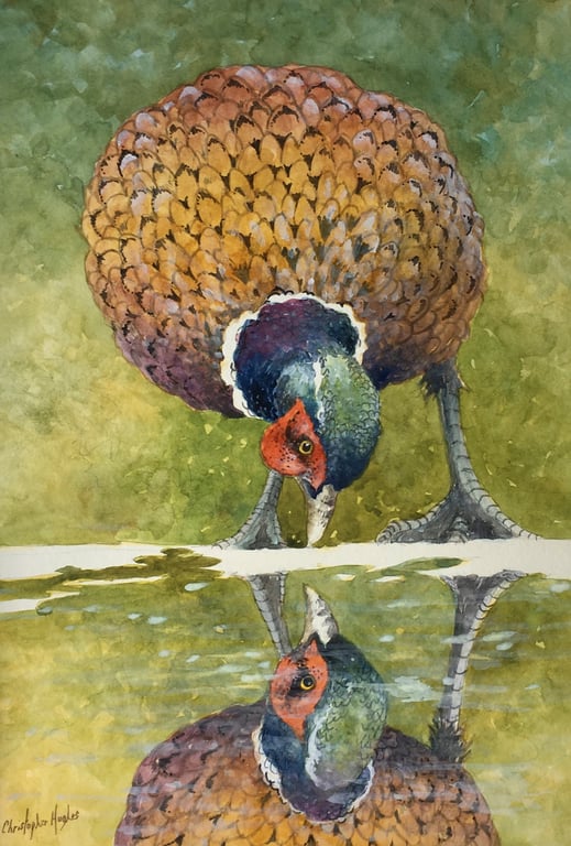 Pheasant Reflection. Signed Special Edition Print .