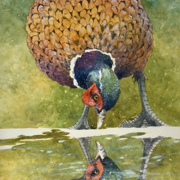 Pheasant Reflection. Signed Special Edition Print .