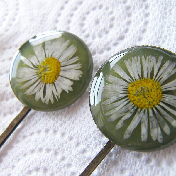 Pressed Daisy Hair Pins Bobby Pin Set of 2 - DAISY