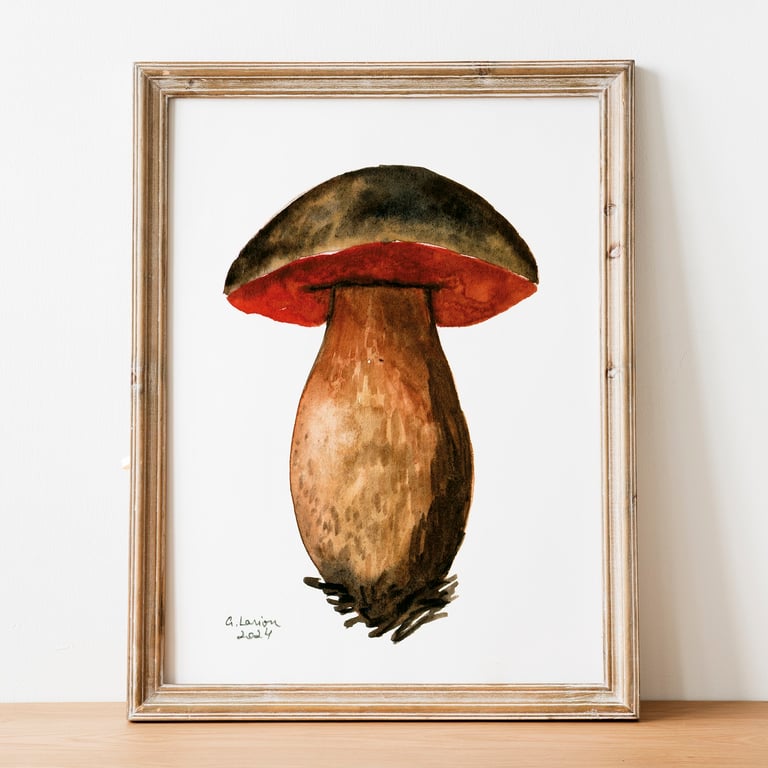 Scarletina Bolete A5 Inkjet Print