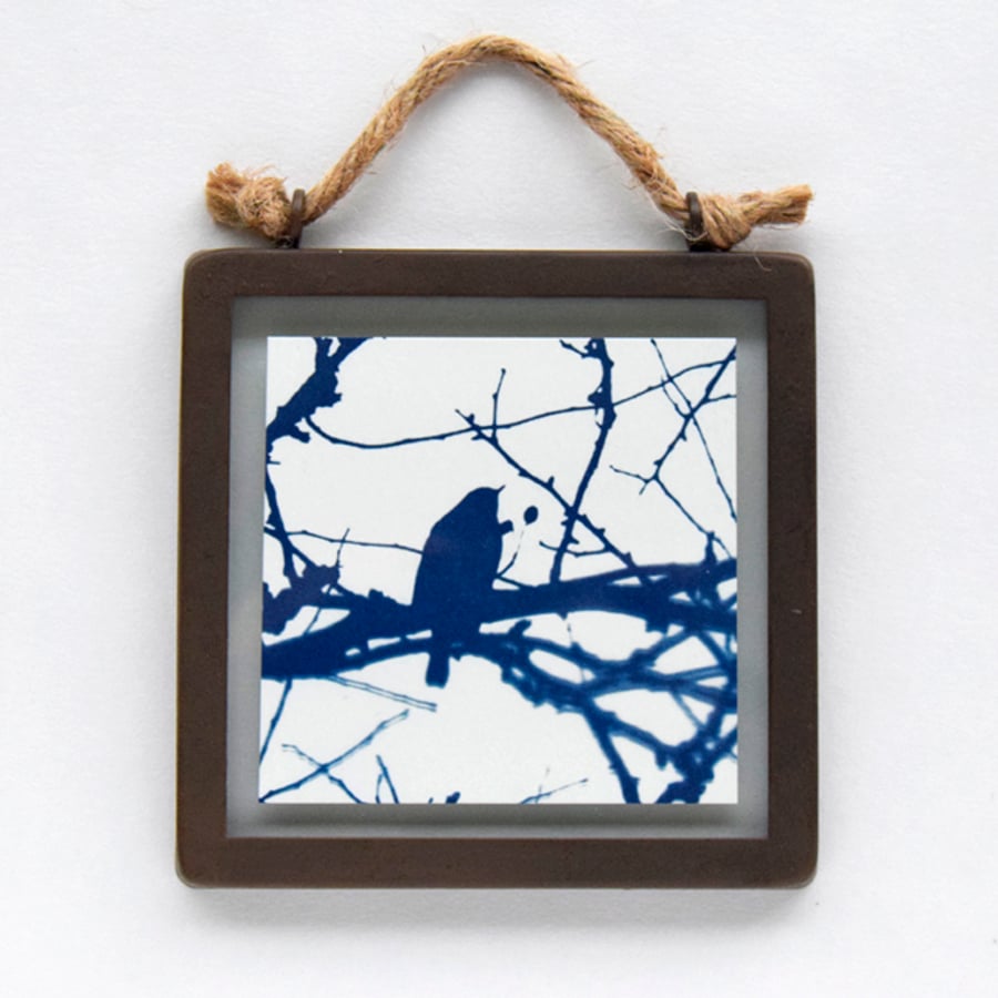 Robin in branches Cyanotype in industrial style metal and glass square frame