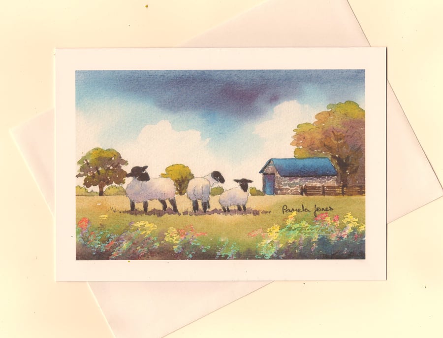 Art Greeting Card, Comical Sheep On Welsh Farm - A5 - Blank 