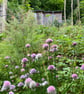 Garden painting, Chives, Original art, handmade paper, signed  - Image 9