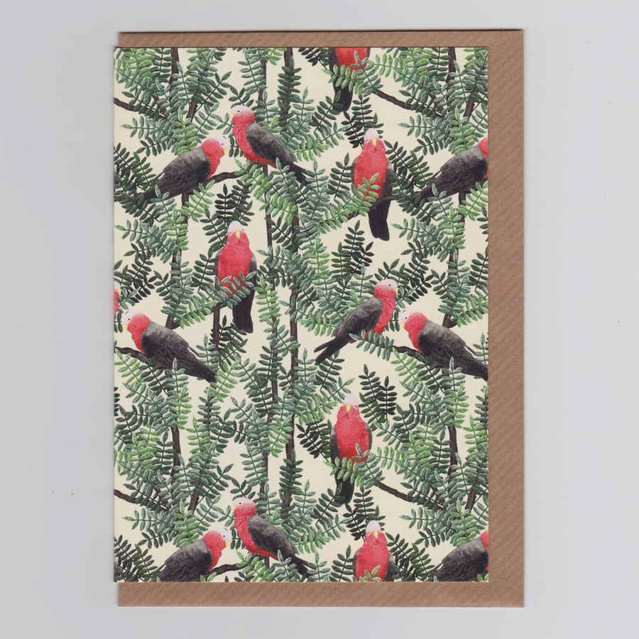 Blank Greetings Card - Galah Red 