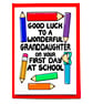 Good Luck Wonderful Granddaughter On Your First Day at School From Grandparents - Image 5