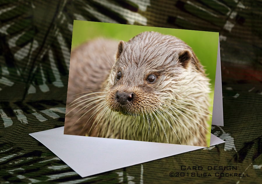 Exclusive Handmade Otter Greetings Card on Archive Photo Paper