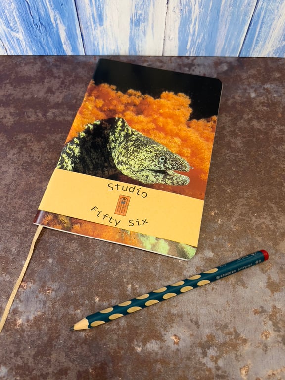 Notebook, Marine themed, A5 (ish), made from up-cycled and recycled materials.