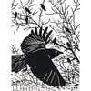 Dawn Flight - Black Crows - Original Hand Pulled Linocut Print