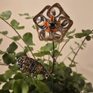 Gold, silver, dark blue, orange flower plant companion perfect for pot plants