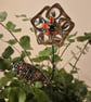 Gold, silver, dark blue, orange flower plant companion perfect for pot plants