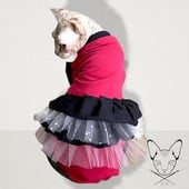 Sphynxclotbykristina