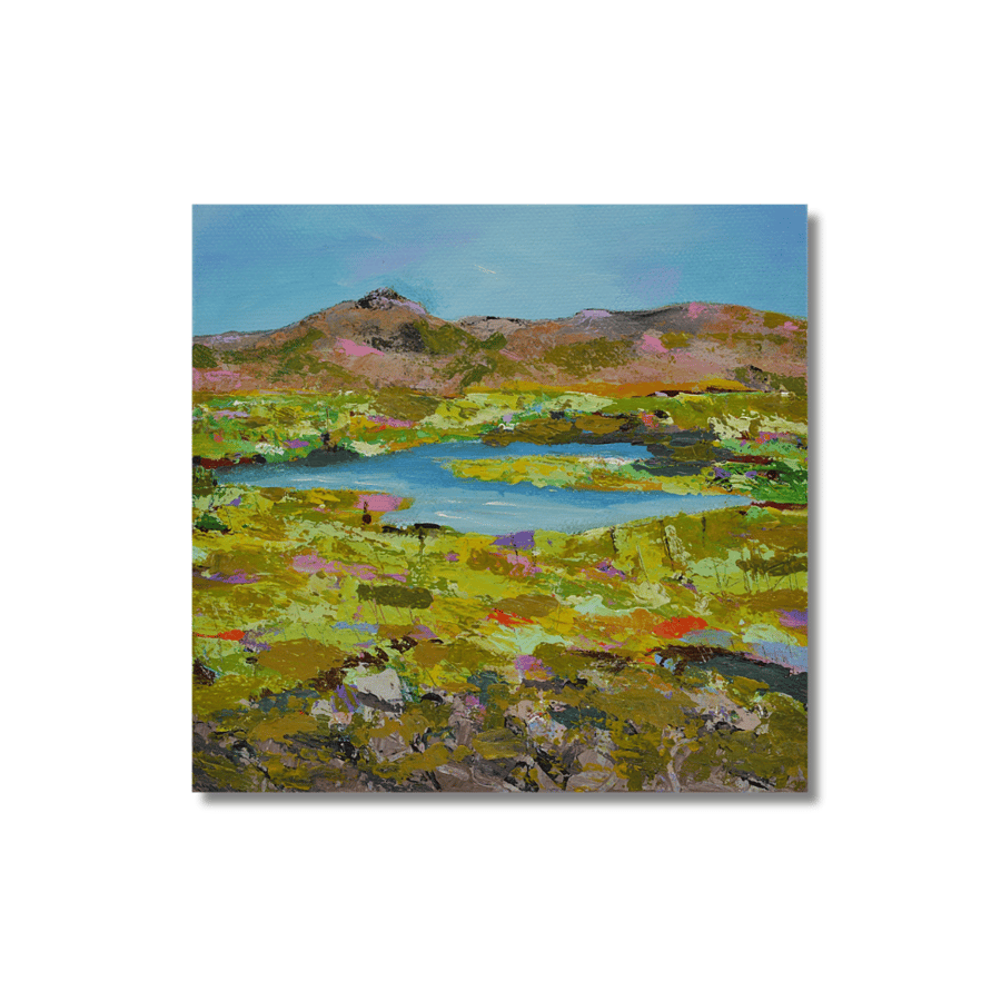 An original framed Scottish landscape painting - acrylic on canvas
