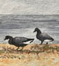 Brent geese original art  - Image 2