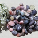 10 Botswana Agate Crystal Polished Tumblestones, Chakra, Reiki, Craft, Mosaic