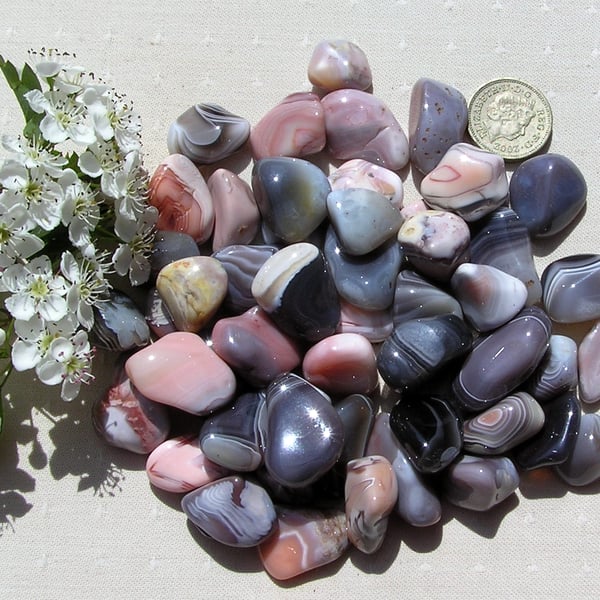 10 Botswana Agate Crystal Polished Tumblestones, Chakra, Reiki, Craft, Mosaic