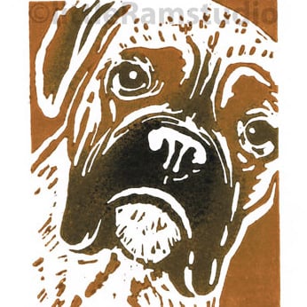 Dog - Boxer Dog - Black and Tan - Original Hand Pulled Linocut Print