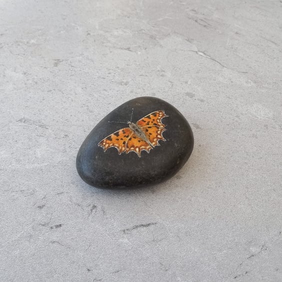 Original Art Comma Butterfly Hand Painted Stone