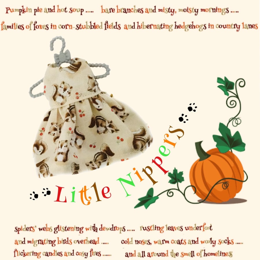 Reserved for Sue - Little Nippers’ Chipmunk Dress