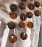 15mm 24L Tortoise Shell (polyester) x 6 Buttons - Image 7