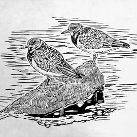 Two Turnstones Linocut Print