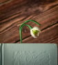 Snowdrop Crochet Bookmark - Petite Edition