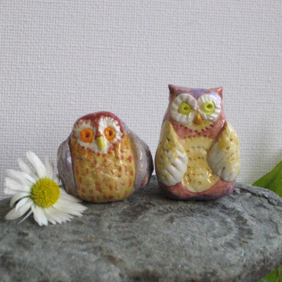 Pair of Little Owls