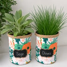 Mint & Peach floral grow your own herb gift set 