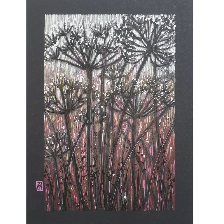Cow Parsley Floral Silhouettes - Original drawing, wall art
