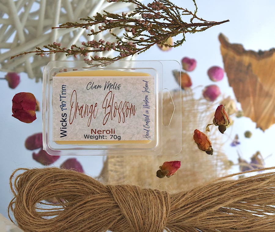 Orange Blossom Hand Crafted Clam Melt Long lasting Fragrance