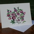 Hellebore greetings card.