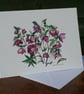 Hellebore greetings card.