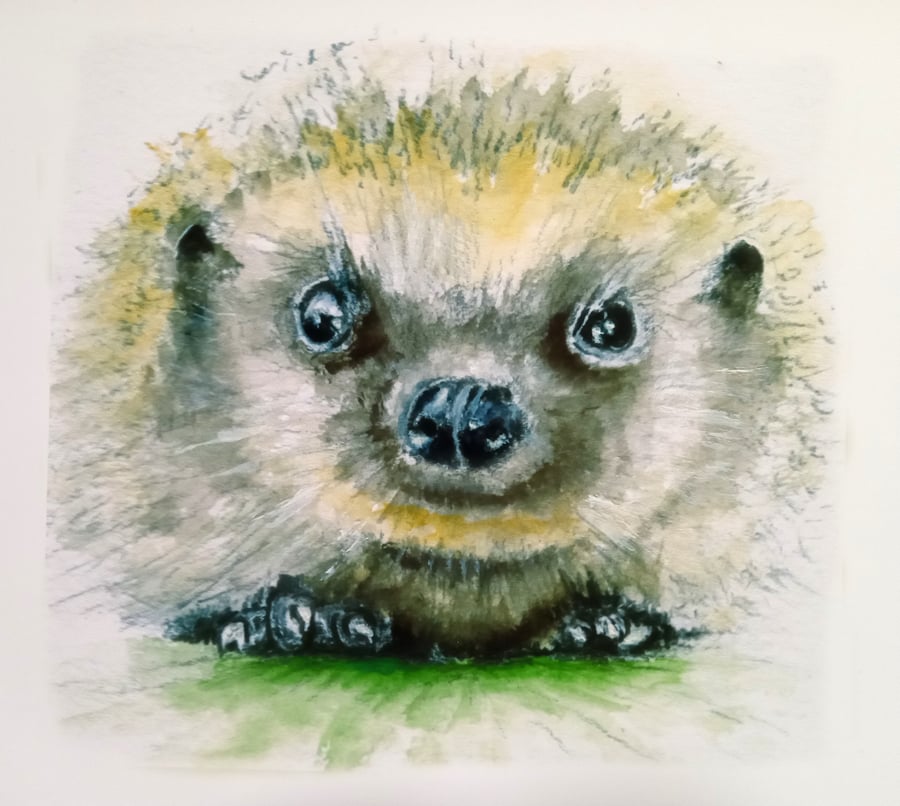 Original hand painted watercolour A3 Poster of a sussex southdowns Hedgehog