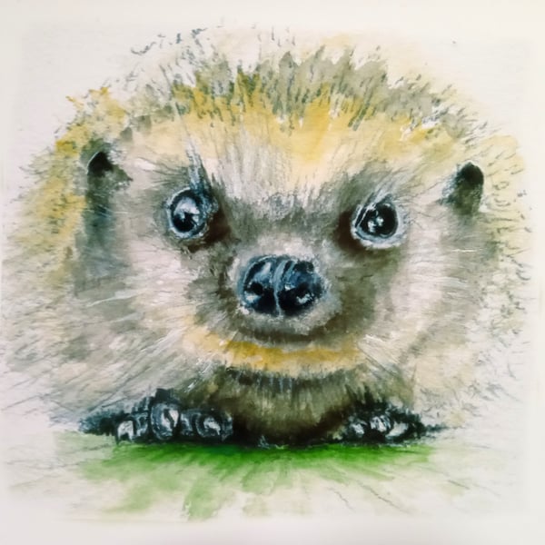 Original hand painted watercolour A3 Poster of a sussex southdowns Hedgehog