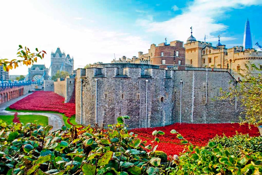 Tower of London Red Poppies England UK Photograph Print