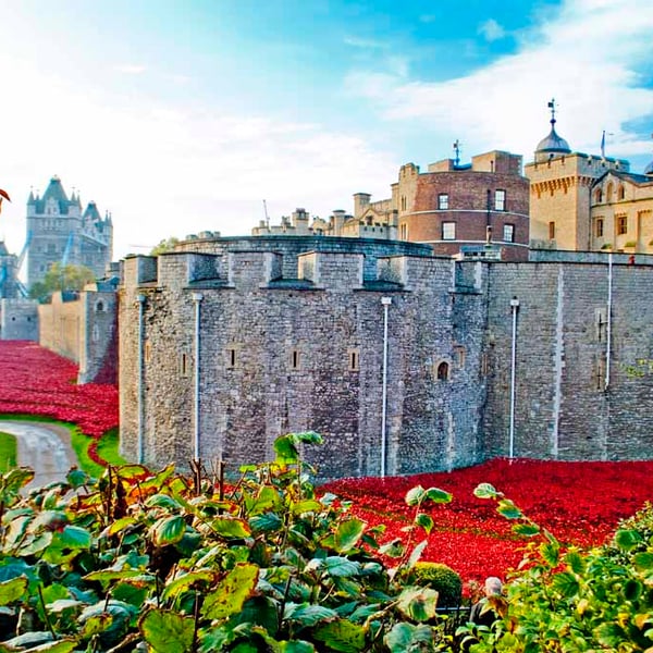 Tower of London Red Poppies England UK Photograph Print