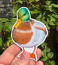 Mallard Duck Sticker - Image 1