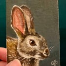 Little rabbit original painting