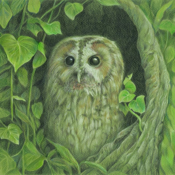 Owl Greetings Card - Leafy Tawny Owl