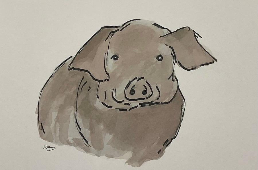 Pig - signed print from digital  illustration