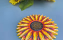Coasters