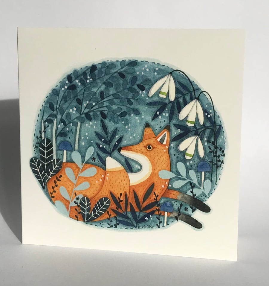 Snowdrop Fox
