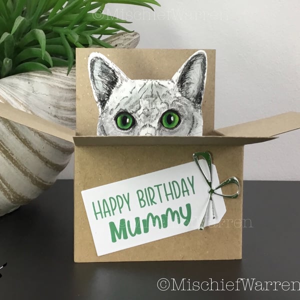 Personalised Grey Cat Card - 3D box card. Personalised for any occasion 