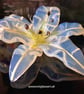 Handmade Fused Glass Lily Opaline White Stripe No 1 of 3.with Wall-mounting - Image 2