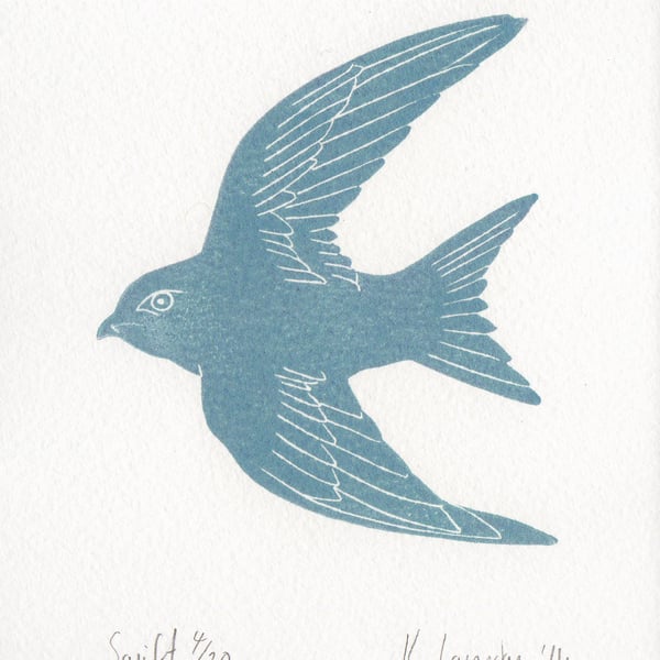 Swift Blue-Grey: Lino Print (FREE UK POSTAGE)